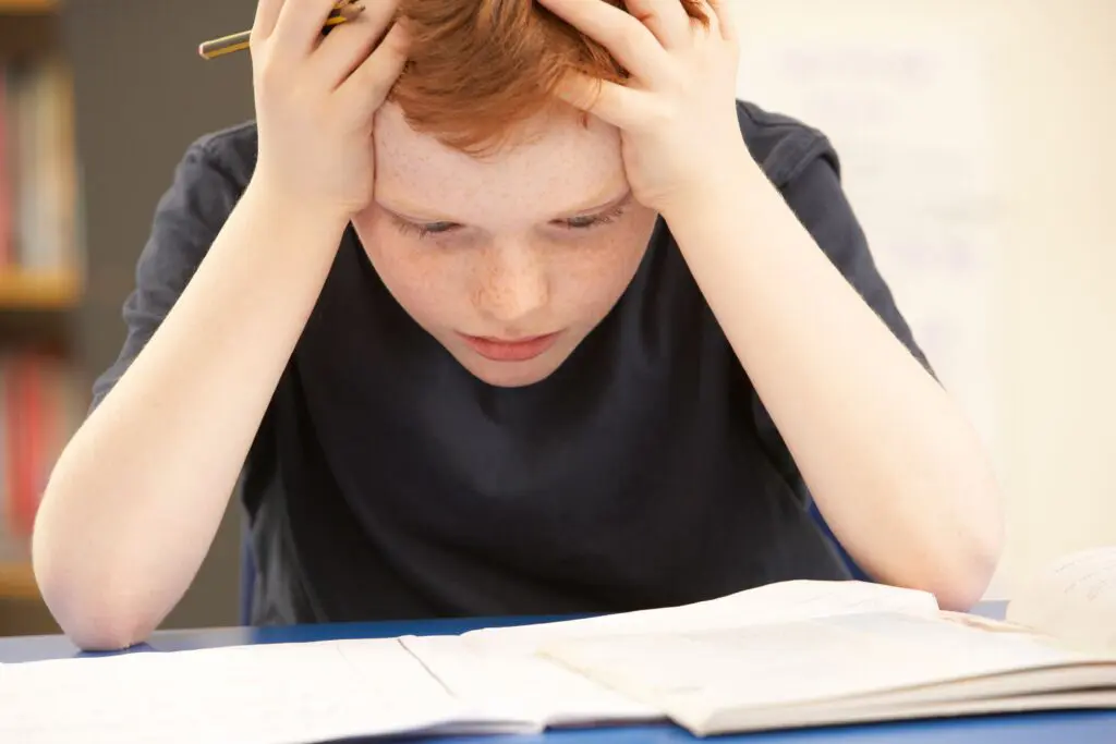 Children can often feel lost in a large classroom or seems bored, overwhelmed, or disengaged